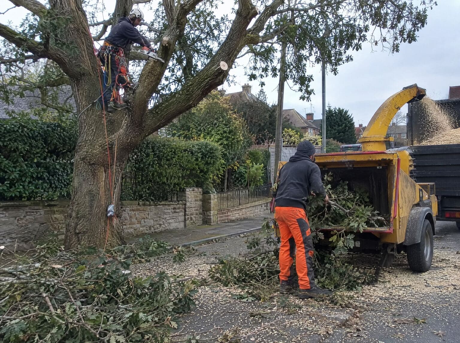 Illustrative landscaping trade photograph: Landscaping & Grounds