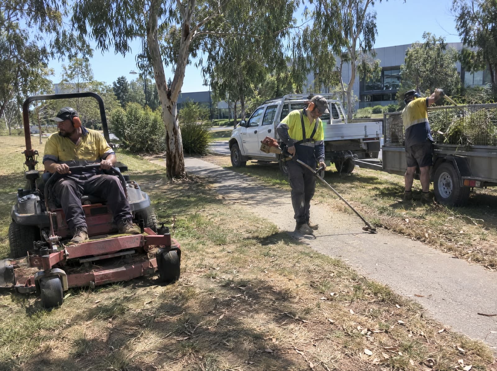 Illustrative landscaping trade photograph: Landscaping & Grounds